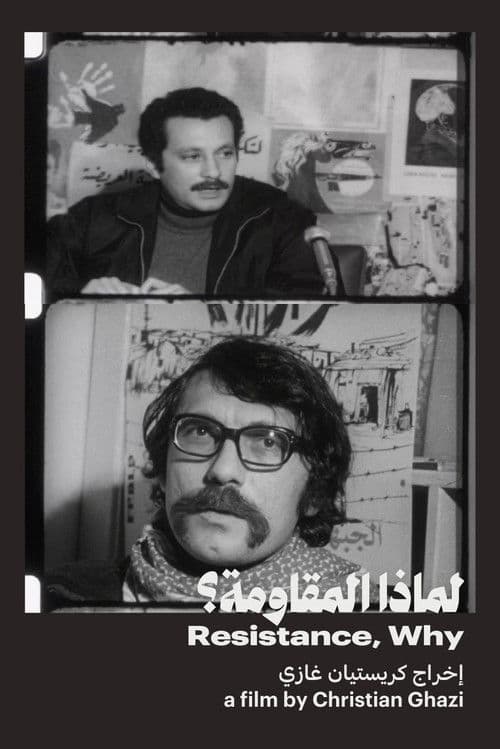 لماذا المقاومة