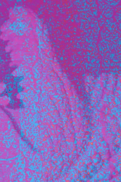 Jeb Rex Memorial Video