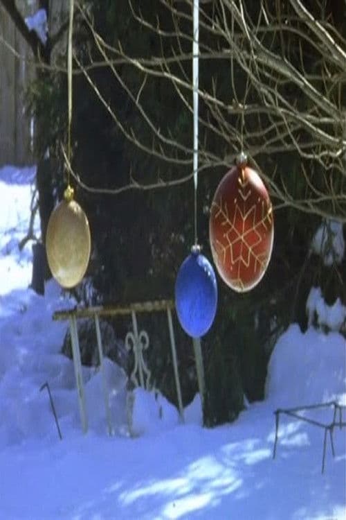 You Can See the Sun in Late December