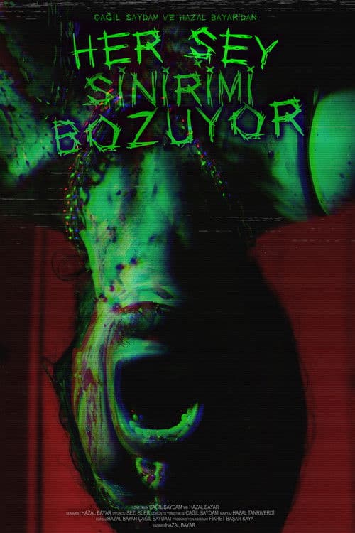 Her Şey Sinirimi Bozuyor