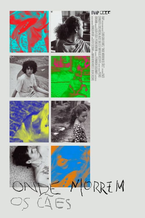 Onde Morrem os Cães