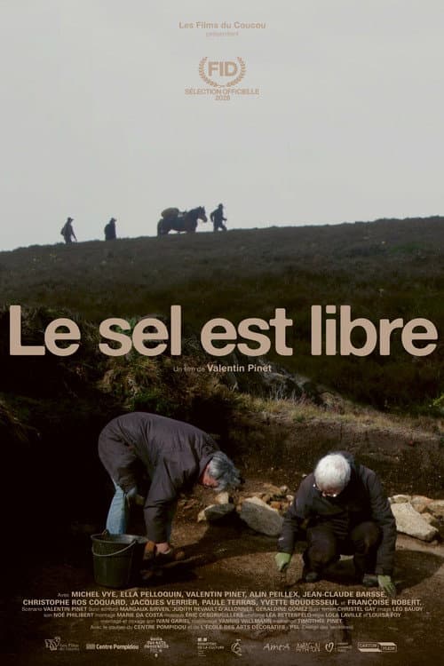 Le sel est libre