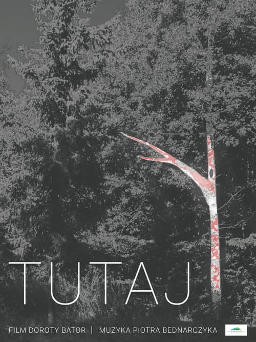 Tutaj