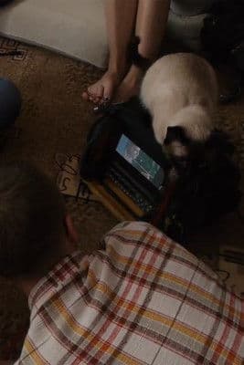 На площадке