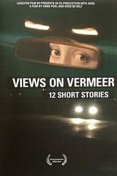 Views on Vermeer - 12 Short Stories