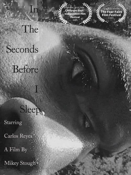 In the Seconds Before I Sleep