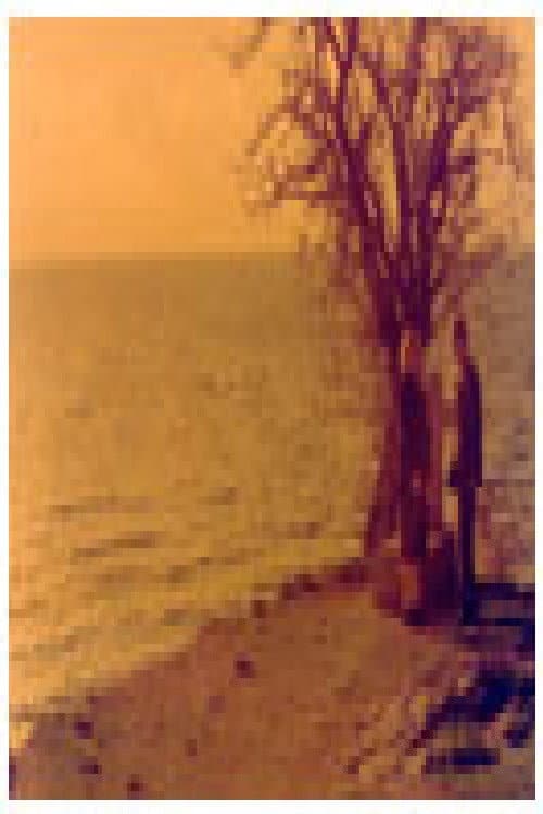 Љубовта на Кочо Топенчаров