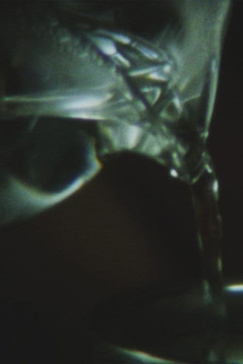 Mėlynas kalnas. Baltas debesis