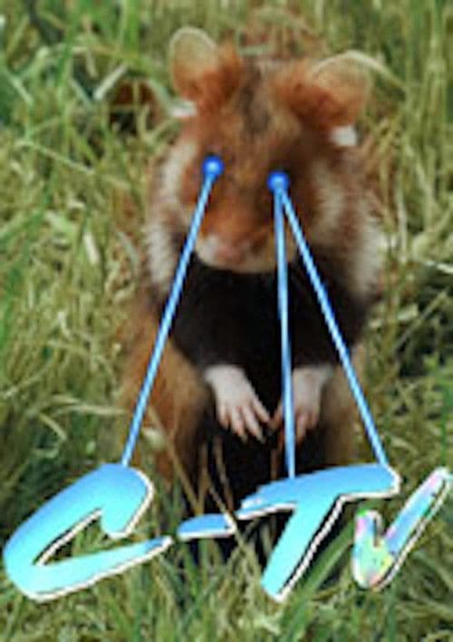 C-TV (Wenn ich Dir sage, ich habe Dich gern ...)