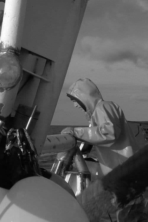 de kustlanden zullen op mij wachten