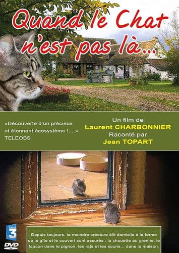 Quand le Chat n'est pas là…