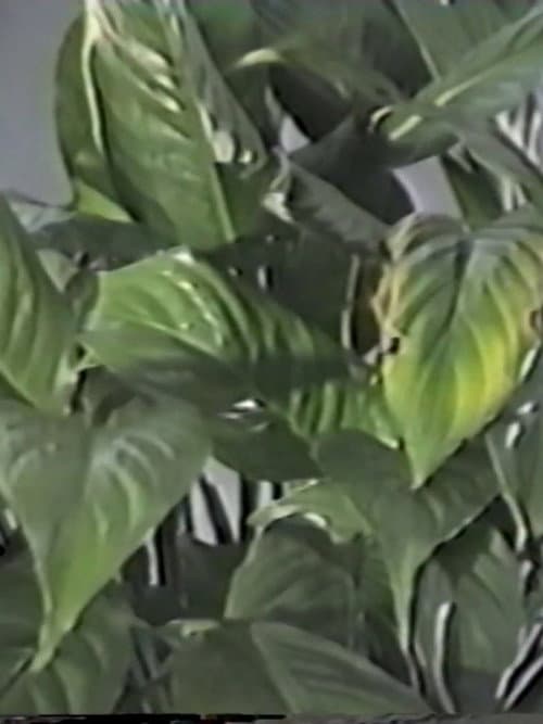 九月のテーブルまたは部分の異変