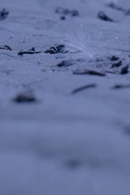 잘 알지도 못하면서