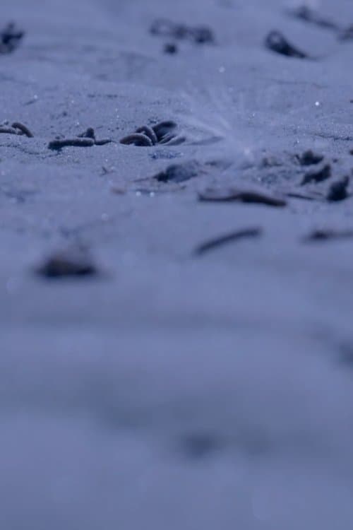 잘 알지도 못하면서