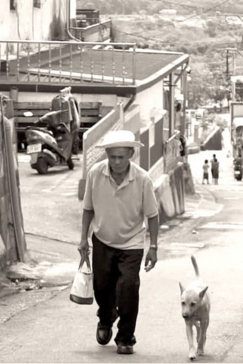 32公里～六十年