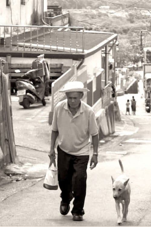 32公里～六十年