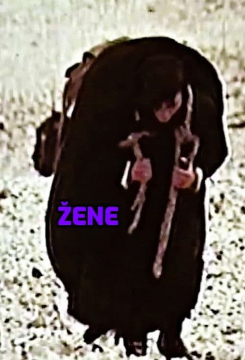 Žene