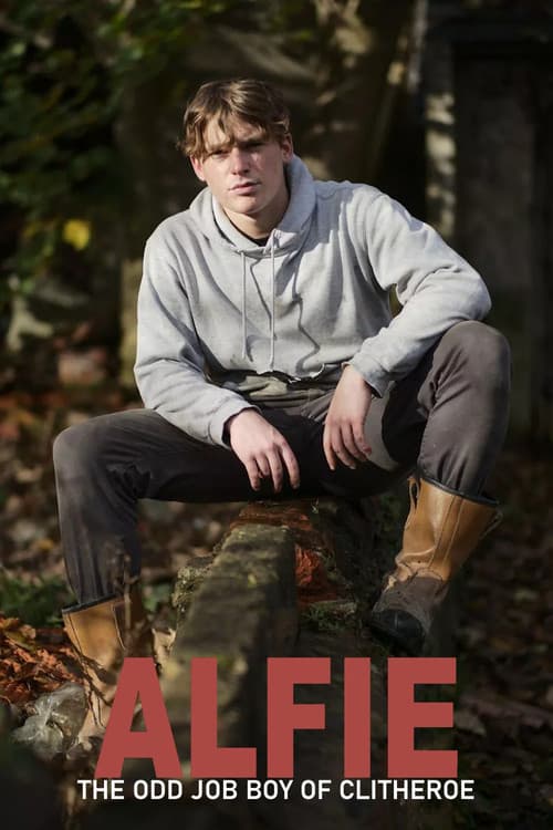 Alfie the Odd Job Boy