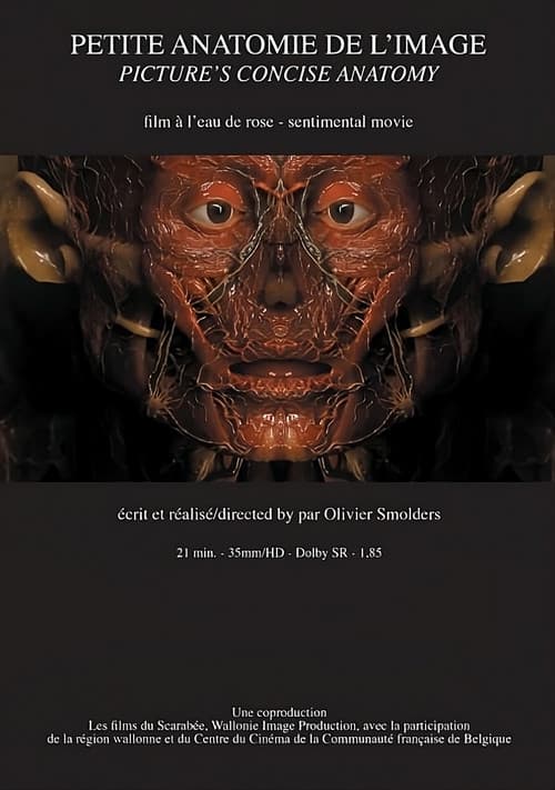 Petite anatomie de l'image