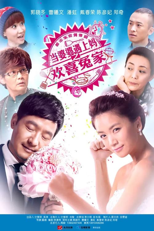 当婆婆遇上妈之欢喜冤家