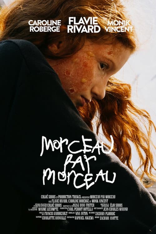 Morceau par morceau