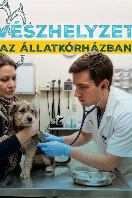 Vészhelyzet az állatkórházban