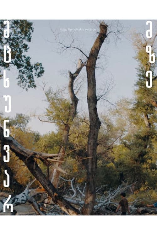 მცხუნვარე მზე