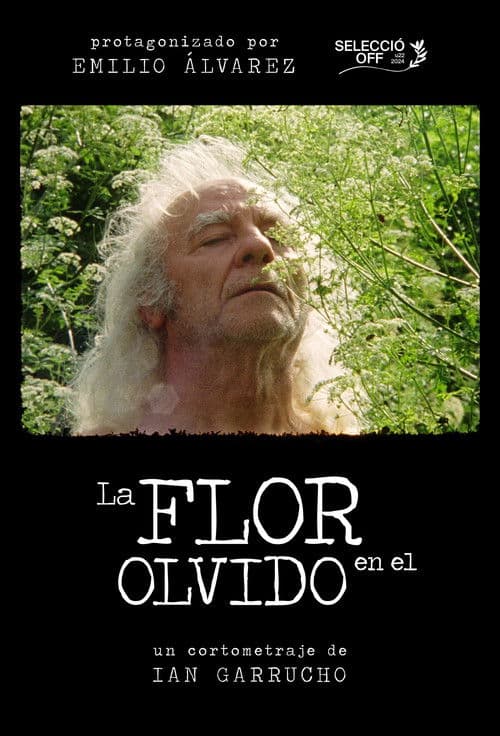 La flor en el olvido