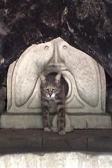 Vater, Mutter, was soll ich heute filmen?