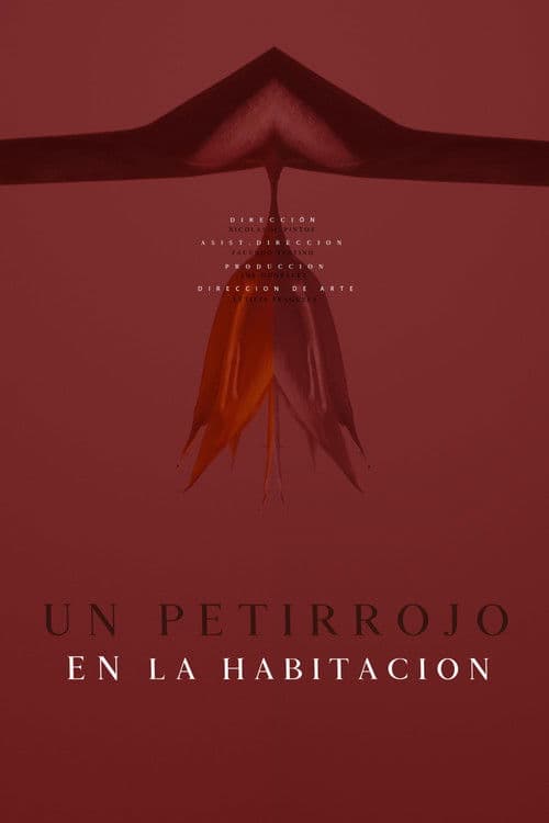 Un petirrojo en la habitación