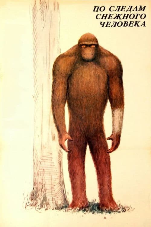 По следам снежного человека