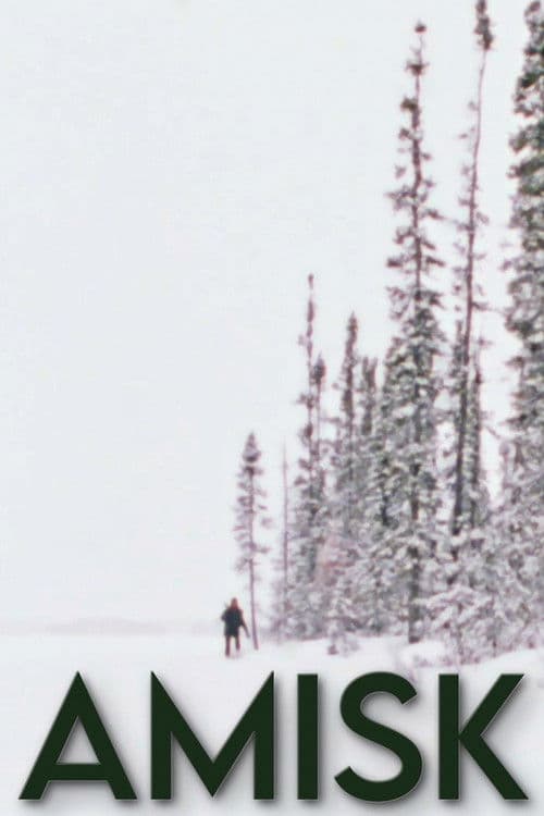 Amisk