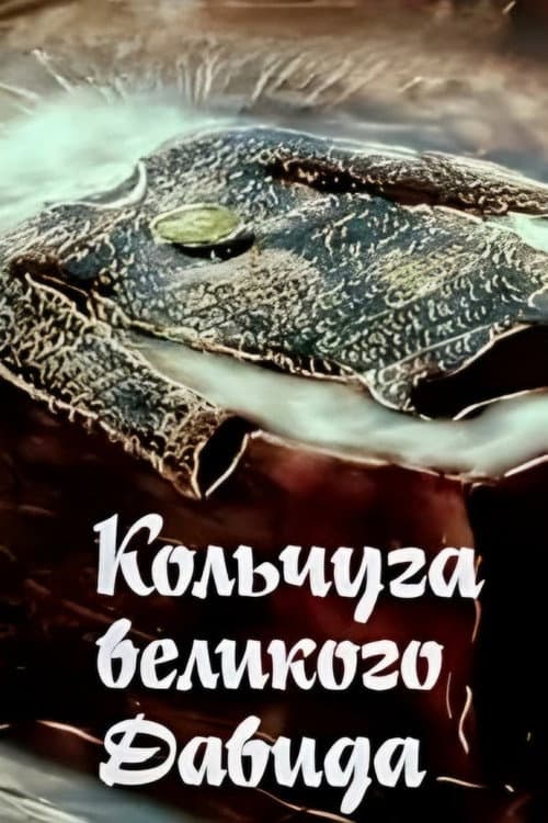 დიდი დავითის ჯაჭვის პერანგი