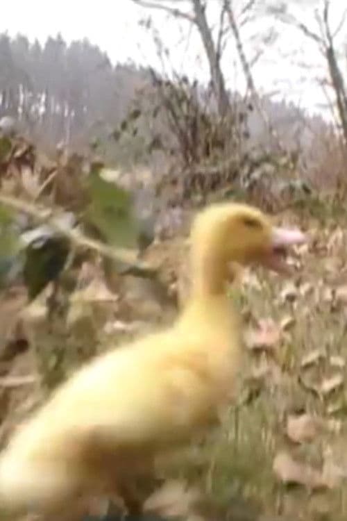 La Terre n'est pas une poubelle