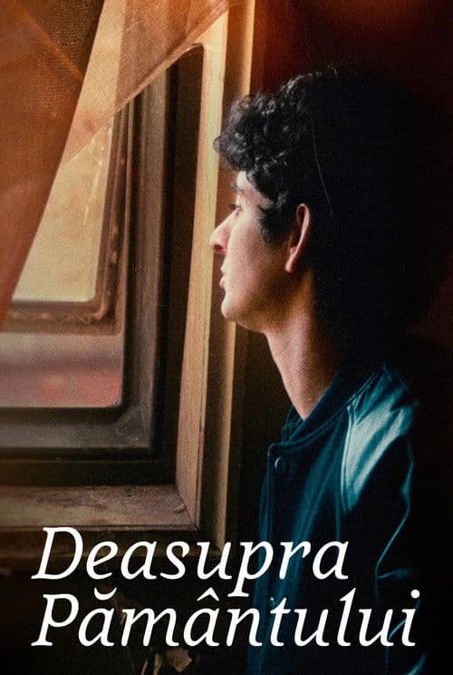 ما فوق الضريح