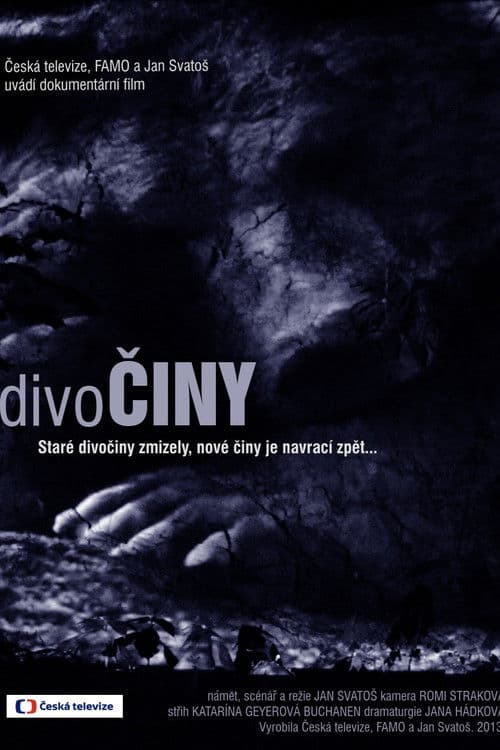 DivoČINY