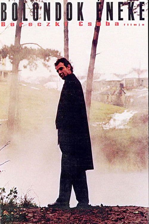 Cântecul proștilor