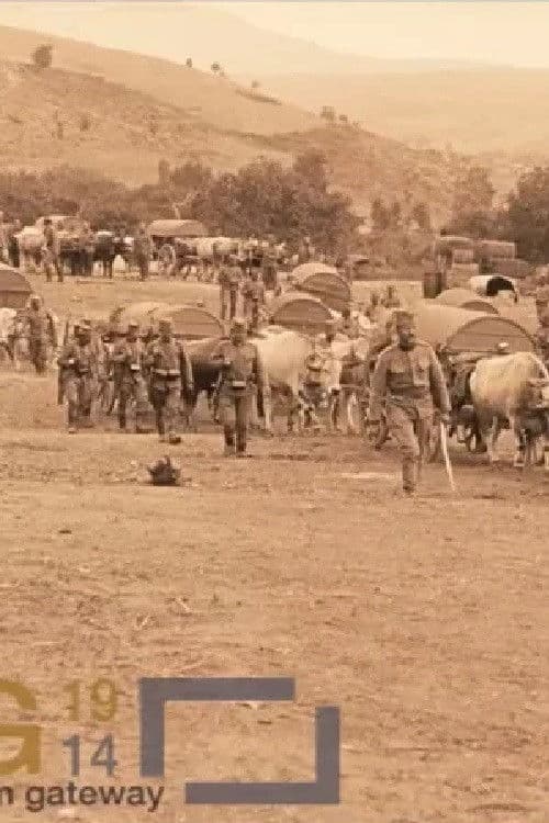 Municiona kolona dunavske divizije