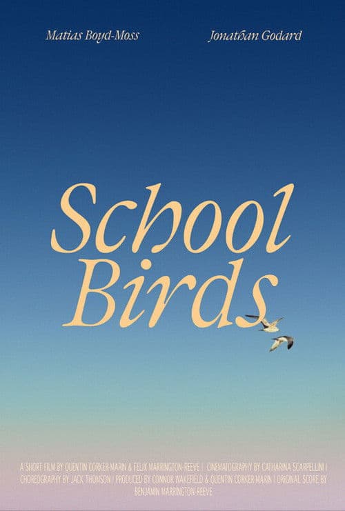 School Birds