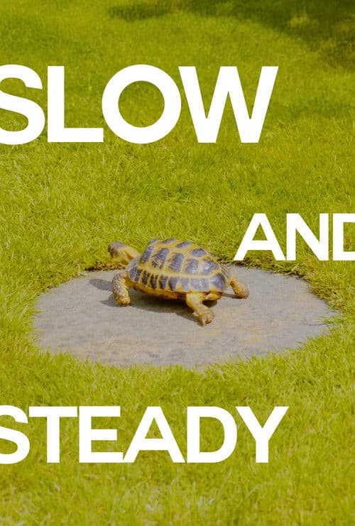 Slow and Steady