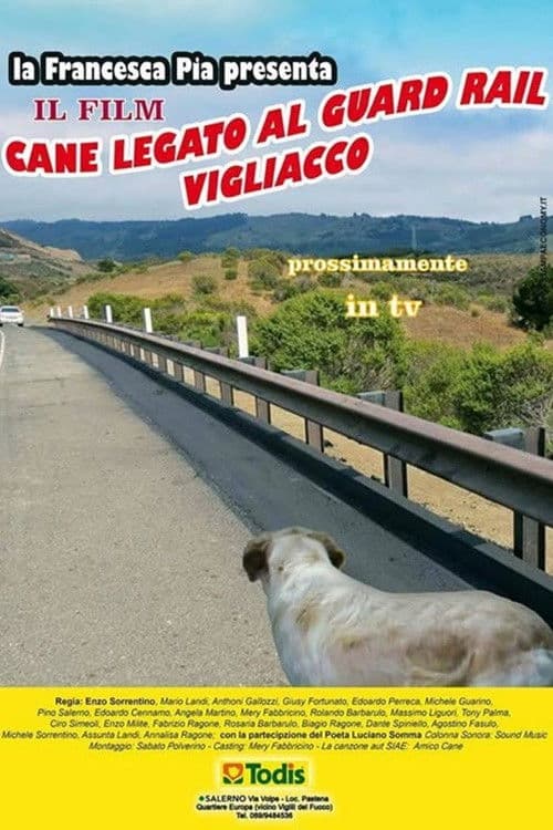 Cane legato al guard rail vigliacco