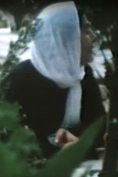 اغتيال مدينة