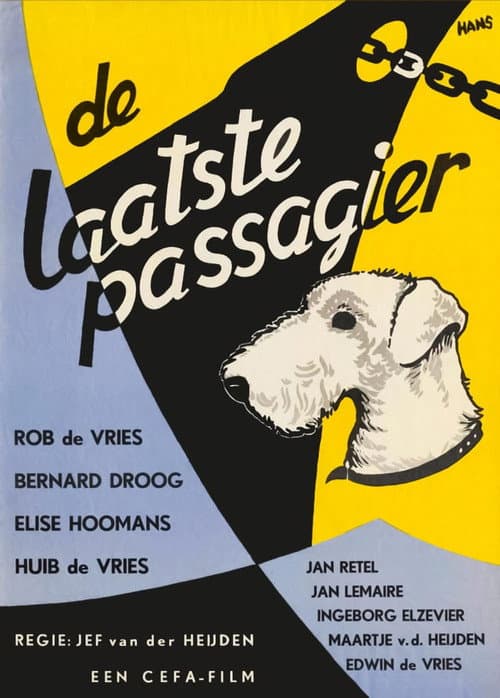 De laatste passagier