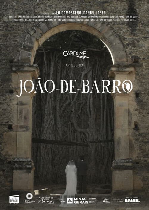 João-de-Barro