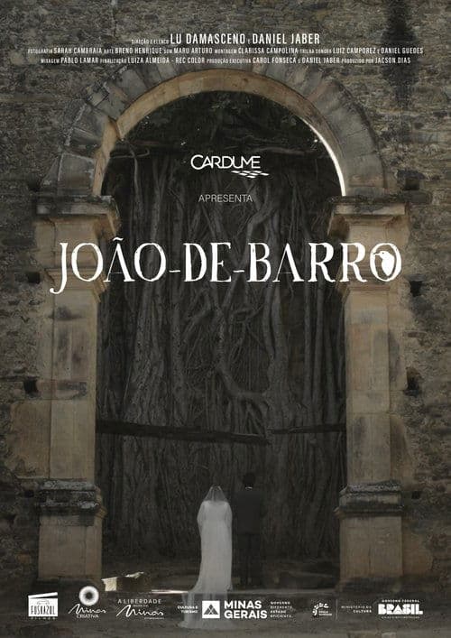 João-de-Barro