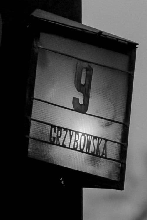 Na przykład - Ul. Grzybowska 9