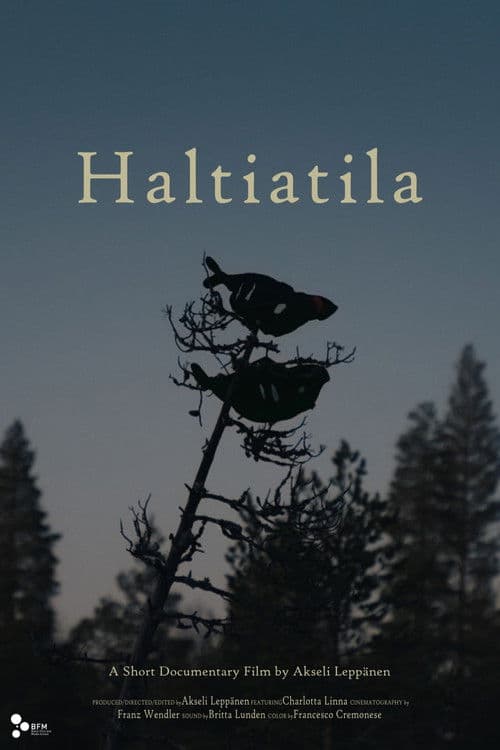 Haltiatila