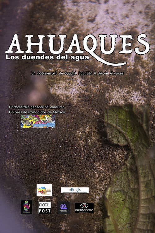 Ahuaques, los duendes del agua