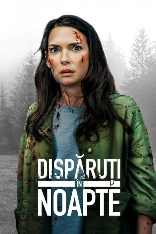 Dispăruți în noapte