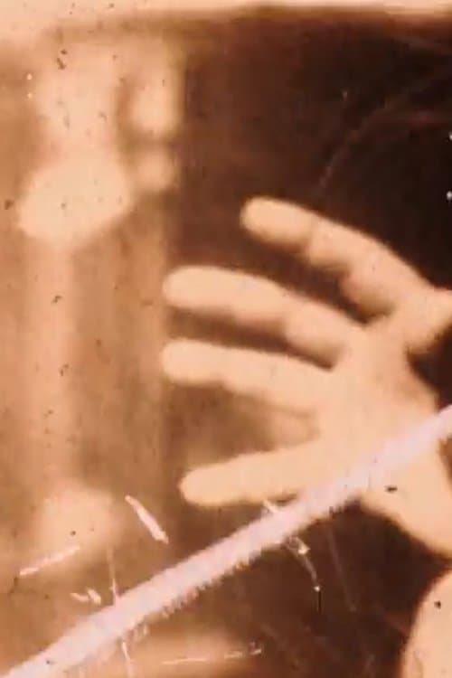 Confessions d’un voleur d’ordures